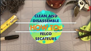 How To Clean and Disassemble Felco Secateurs [upl. by Westbrooke]