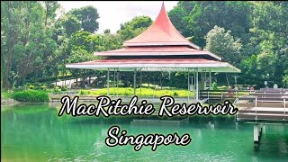 MacRitchie Reservoir [upl. by Negris]