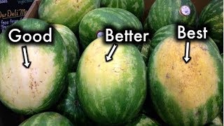 How To Pick The Sweetest Watermelon Every Single Time [upl. by Grimbald]