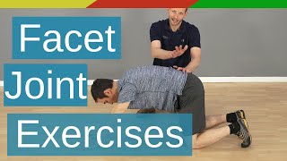 Essential Lower Back Exercises for Seniors [upl. by Eissirk216]