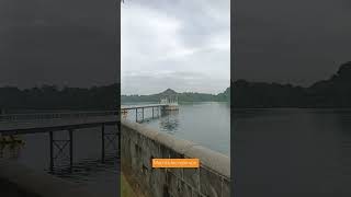 Macritchie reservoir Singapore [upl. by Yentyrb816]