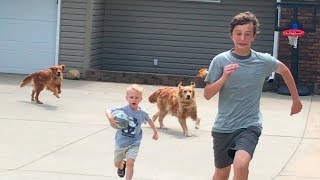 Drive by Dunk Challenge Chased by dogs  Thats Amazing [upl. by Ambrosi]