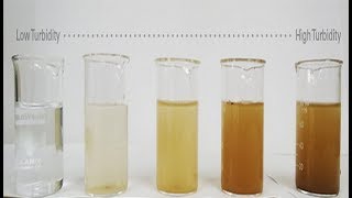 Determination of Turbidity of water Calibration and Measurement [upl. by Sophy]