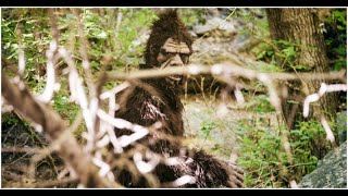 Vietnam War Rock Apes  Bigfoot or Big Fraud [upl. by Eelarual]