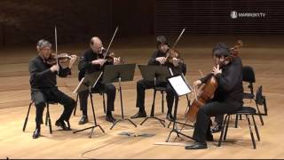 Franz Schubert String Quintet in C Major D 956 [upl. by Hessney]