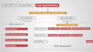 Diagnosing Hyponatremia A Comprehensive Algorithm [upl. by Cardie]