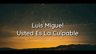 Luis Miguel  Usted Es La Culpable  Lyrics [upl. by Gaves]