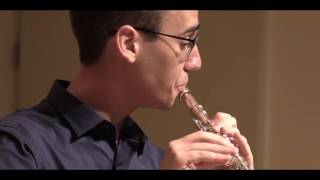 F Schubert  Ständchen Serenade for Flute and Piano HD [upl. by Lehcir79]