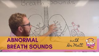 Abnormal Breath Sounds  Respiratory System [upl. by Varipapa636]