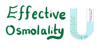 Effective Osmolality [upl. by Ola79]