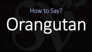 How to Pronounce Orangutan CORRECTLY [upl. by Erda]