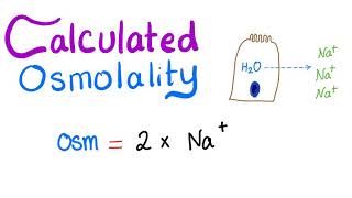 Calculated Osmolality [upl. by Noguchi]