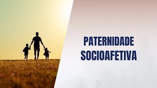 Paternidade socioafetiva [upl. by Anaujal828]