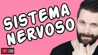 SISTEMA NERVOSO  FISIOLOGIA  Aula  Biologia com Samuel Cunha [upl. by Adrien]