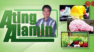 Ating Alamin 1980  Soundtrack [upl. by Jess]