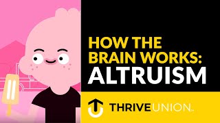 How The Brain Works Altruism [upl. by Eirual847]