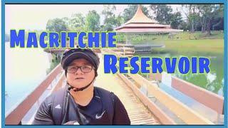 MacRitchie Reservoir  Cycling Singapore [upl. by Elleon]