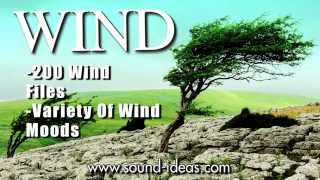 Wind Sound Effects from Sound Ideas [upl. by Muffin]