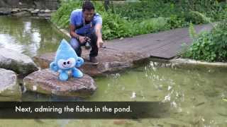 Exploring MacRitchie Reservoir [upl. by Lertnahs]