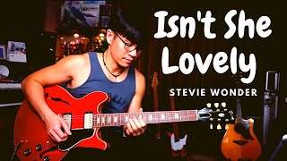 Stevie Wonder  Isnt She Lovely  guitar cover [upl. by Irah]