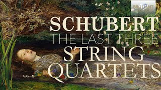 Schubert The Last Three String Quartets [upl. by Ecienaj]