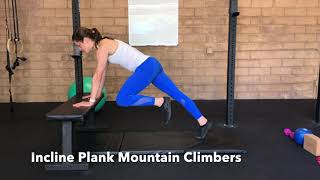 Incline Plank  Mountain Climber [upl. by Zimmermann495]