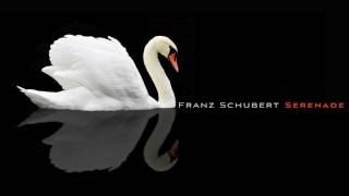 Franz Schubert Serenade D 957 No 4 [upl. by Brennen]