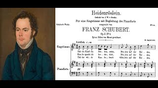 Franz Schubert  Heidenröslein Sheet music and lyrics [upl. by Yerbua]