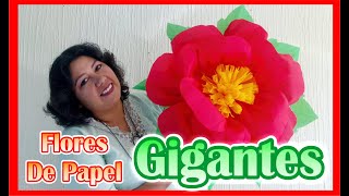 DIY  Como Hacer Flores De Papel Crepe  GIGANTES [upl. by Adnilak]