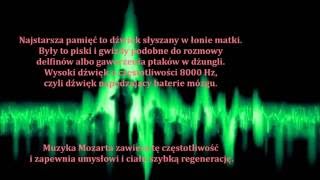 Muzyka do zaktywizowania mózgu i podniesienia witalności [upl. by Binny]