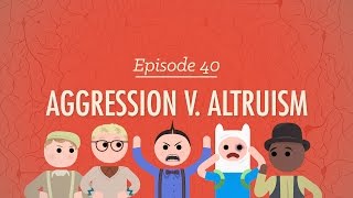 Aggression vs Altruism Crash Course Psychology 40 [upl. by Cordula585]