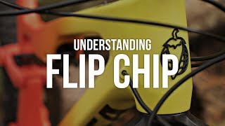 Understanding Flip Chip [upl. by Iaka]