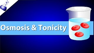 Osmosis and Tonicity [upl. by Nyvets]