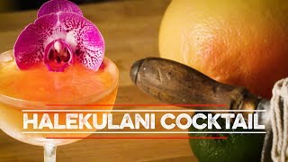 Halekulani Cocktail  How to Drink [upl. by Irb]