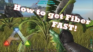 Ark Survival Evolved  How To Get Fiber FAST [upl. by Cinelli]