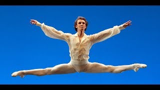 Bolshoi Ballet  Male Principal Dancers 2019 [upl. by Lawford]