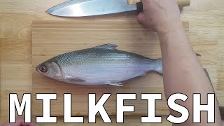 GRAPHIC Cooking Milkfish 3 Ways [upl. by Hasin]