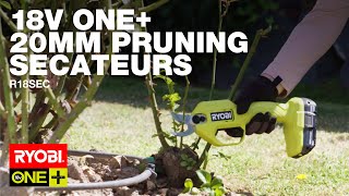 RYOBI 18V ONE 20mm Pruning Secateurs R18SEC in action [upl. by Naima]