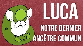 LUCA Notre Dernier Ancêtre Commun  Anecdoxos 09 [upl. by Angelita727]