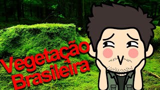 GEOGRAFIA  Vegetação Brasileira [upl. by Ahsekan]