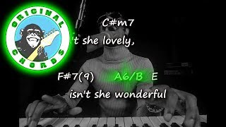 Stevie Wonder  Isnt She Lovely  Chords amp Lyrics [upl. by Nosae]