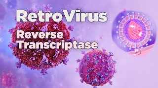 Retrovirus  Mechanism of Retrovirus  Reverse Transcriptase [upl. by Ahsenrac]