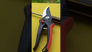 Sharpening Secateurs Pruners with a Stone [upl. by Arikihs]