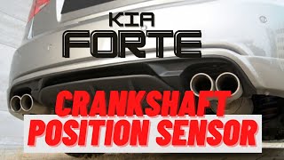 How To Replace Crankshaft Position Sensor CKP Kia Forte 2012 [upl. by Oilicec]