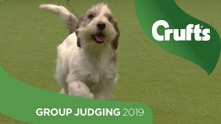 Hound Group Judging And Presentation  Crufts 2019 [upl. by Merriam]