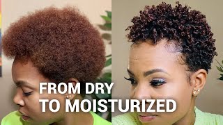 Styling my DRY natural hair  wash and go [upl. by Oman]