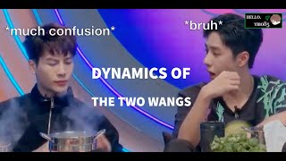 ENG SUB Dynamics of the Wang Brothers Ft Yibo 王一博 and Jackson 王嘉爾 [upl. by Gowrie]