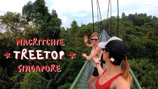 TREETOP WALK  MacRitchie Reservoir Singapore [upl. by Graniela]