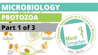 Protozoa  Microbiology  USMLE STEP 1  Part 1 of 3 [upl. by Miarhpe28]