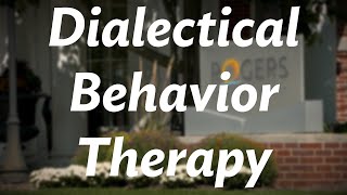 Rogers therapist gives an overview of Dialectical Behavior Therapy DBT [upl. by Aurilia]